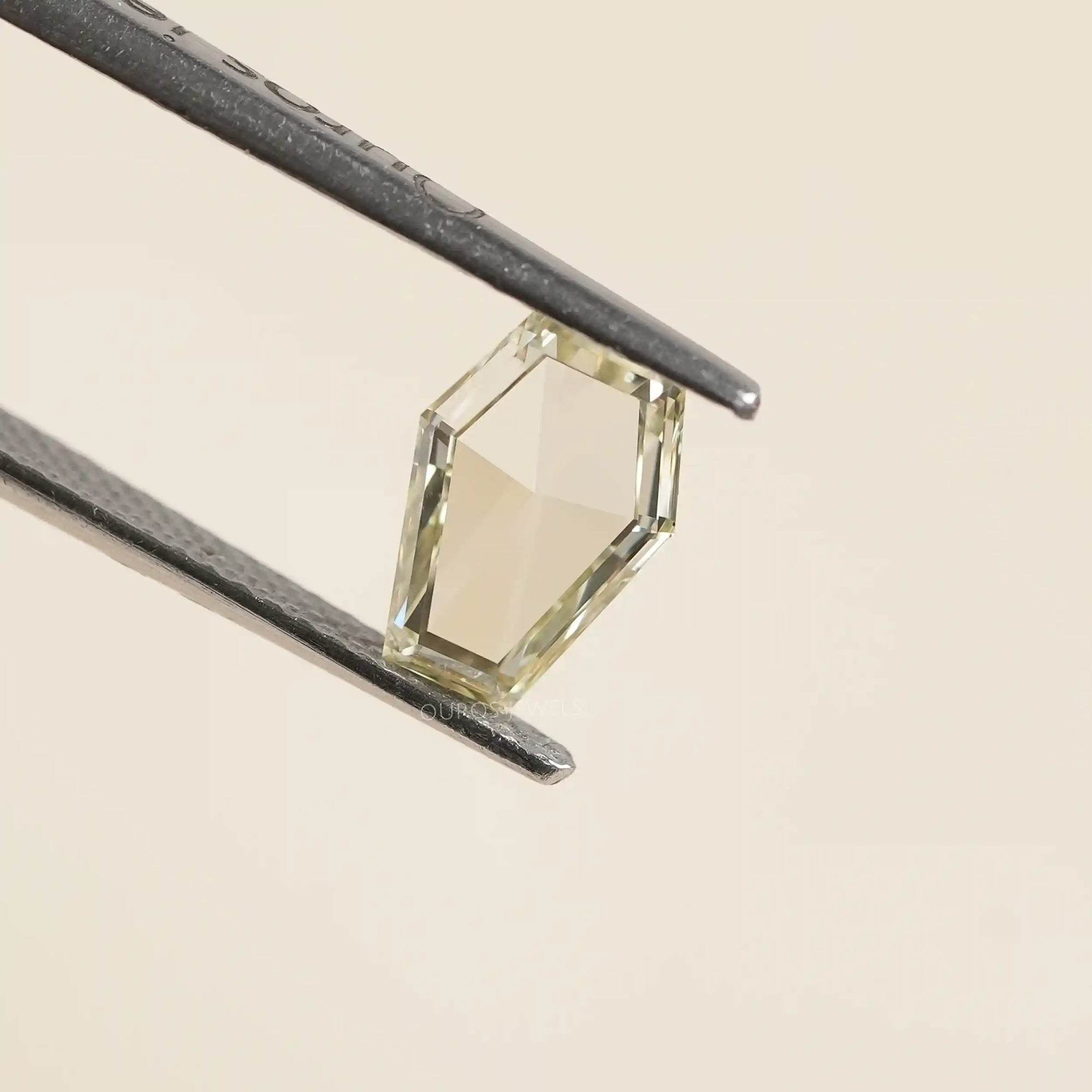 Antique Calf's Head Portrait Cut Loose Diamond Loose