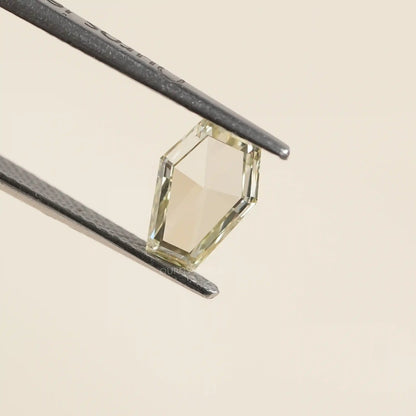 Antique Calf's Head Portrait Cut Loose Diamond Loose