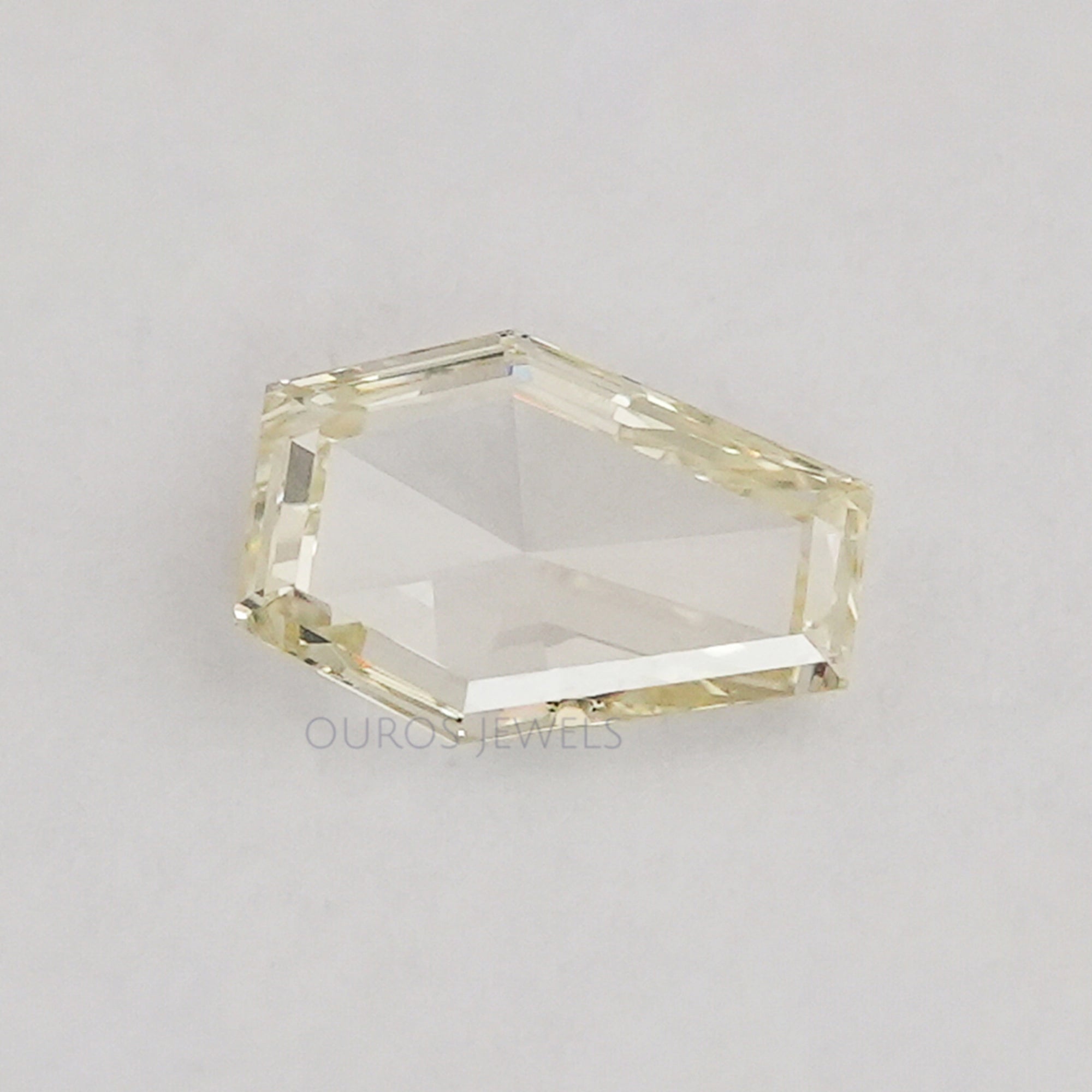 Antique Calf's Head Portrait Cut Loose Diamond Loose