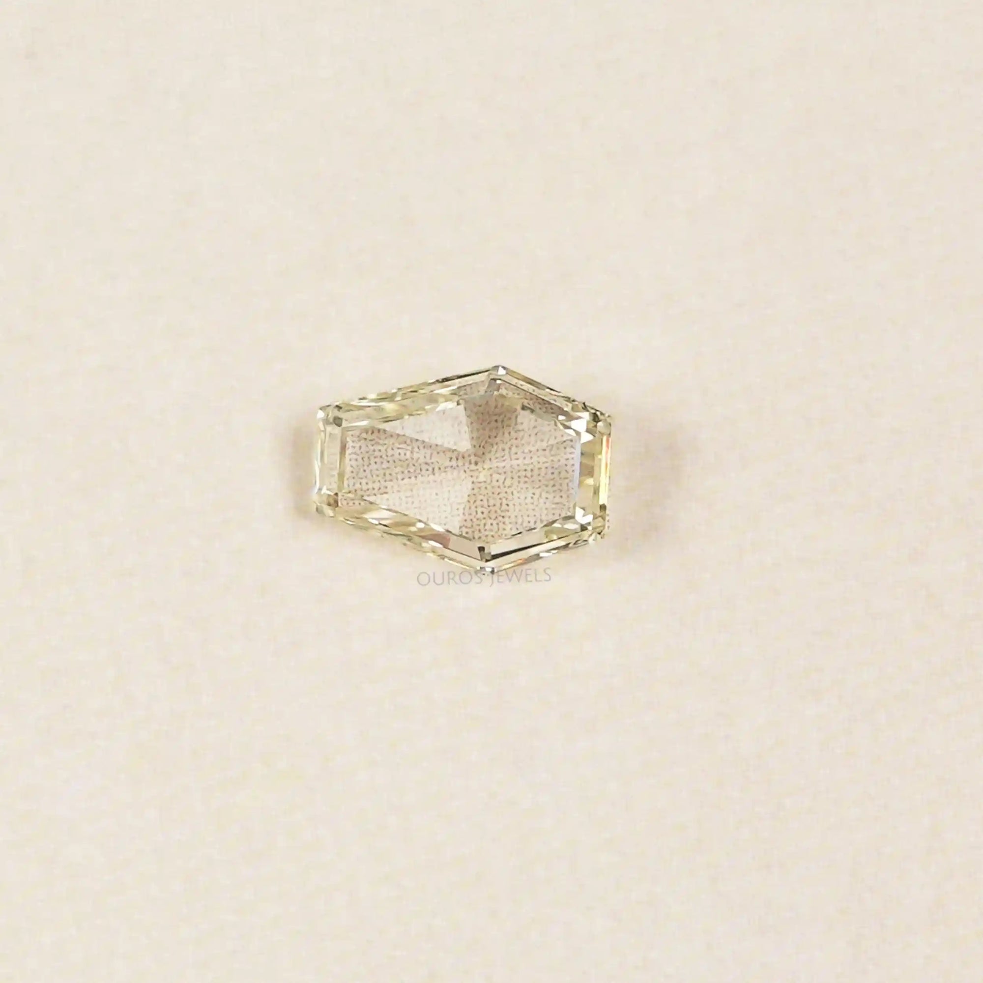 Antique Calf's Head Portrait Cut Loose Diamond Loose